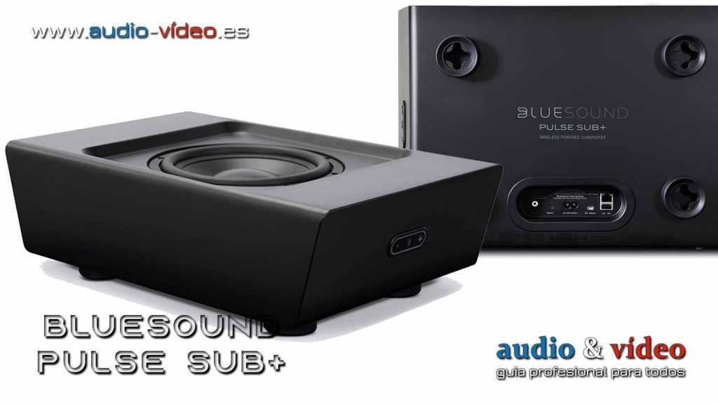 Bluesound Pulse Sub+ conectores