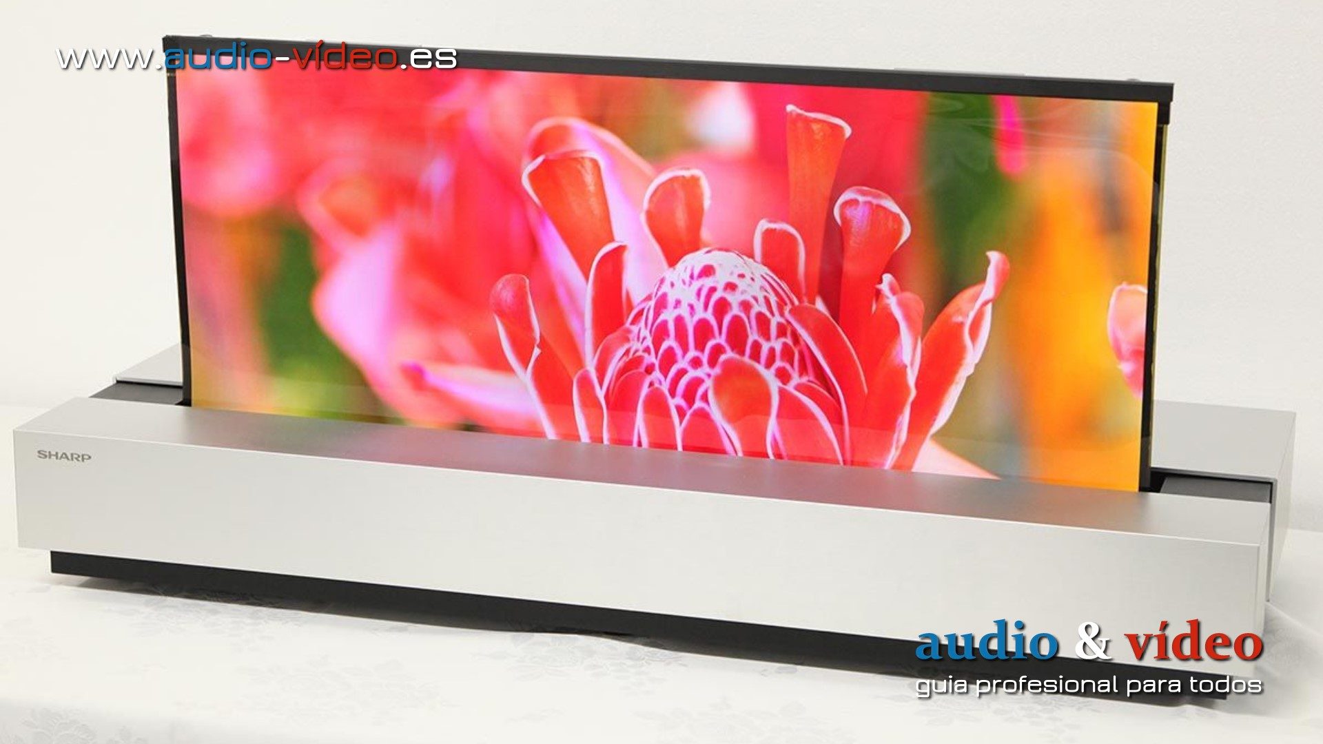 Sharp ha desarrollado un panel OLED enrollable de 30″ 4K