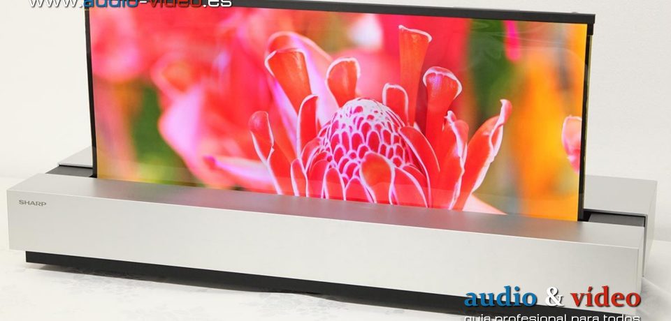 Sharp ha desarrollado un panel OLED enrollable de 30″ 4K