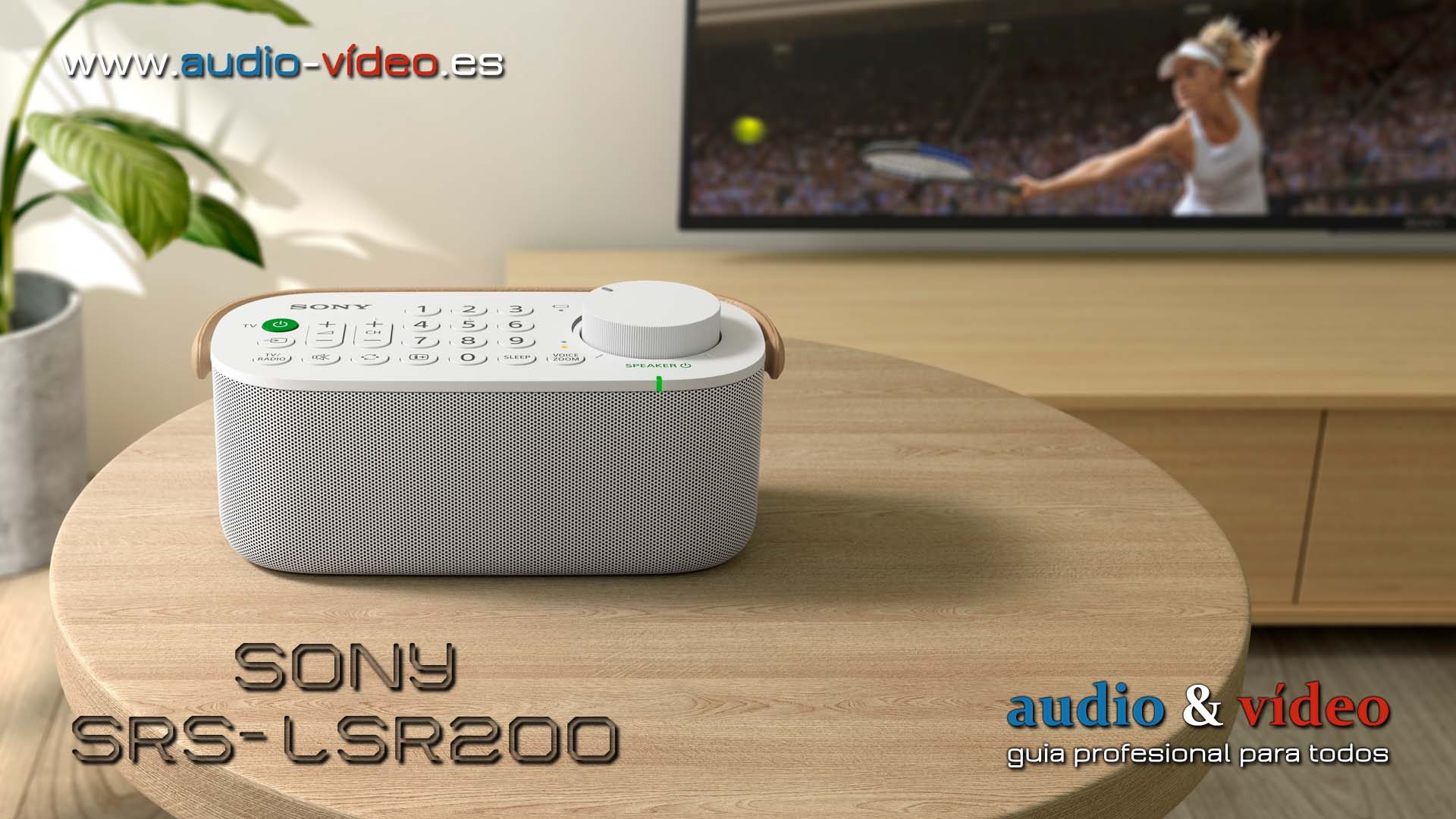 Altavoz inalámbrico SRS-LSR200 para TV de Sony