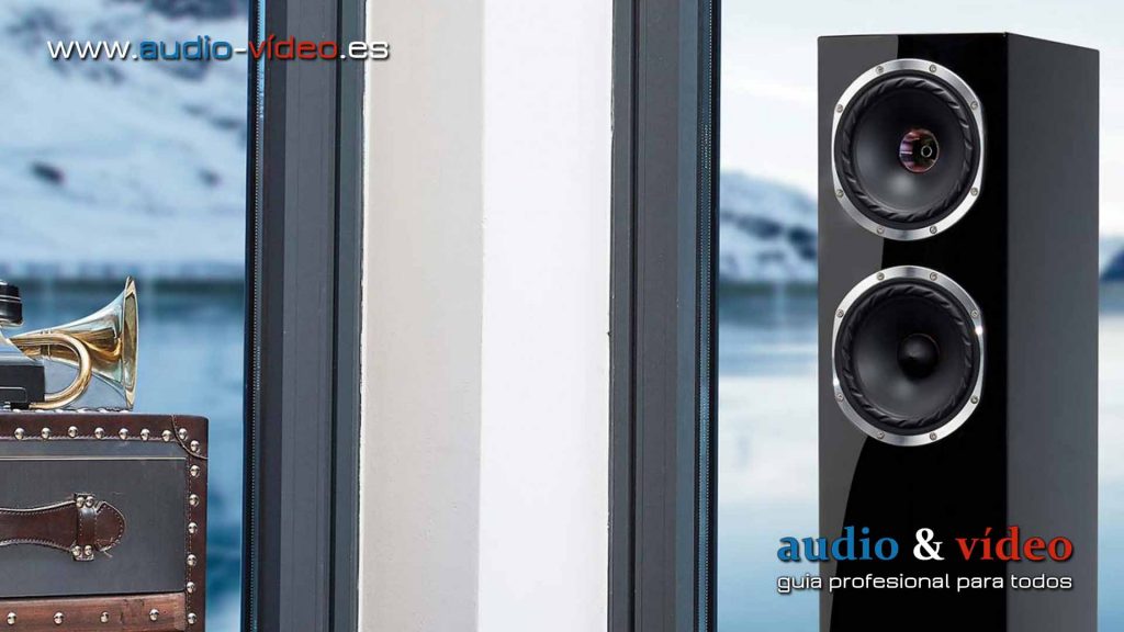 Altavoces de suelo Fyne Audio F501 SP