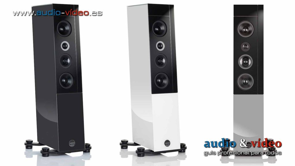 Audio Physics Cardeas Altavoces de Suelo