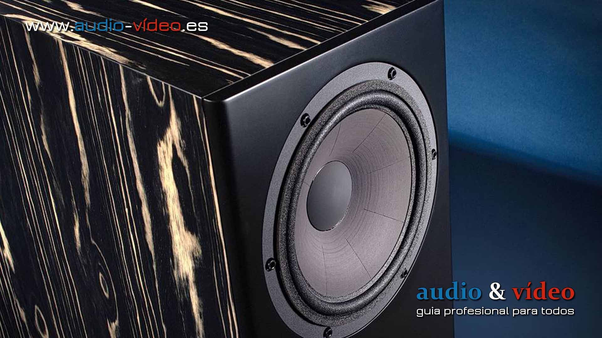 Davis Acoustics MV One Master : Altavoces de suelo