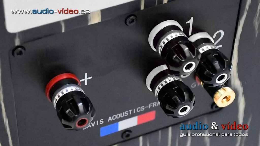 Davis Acoustics MV One Master conectores
