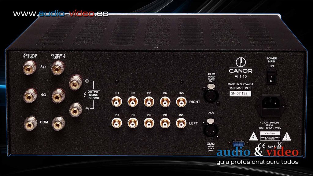 Canor Audio AI 1.10 - amplificador integrado - conectores