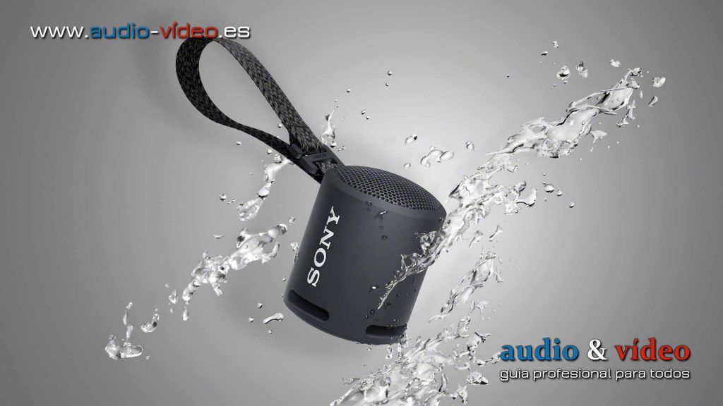 Altavoz Bluetooth Sony SRS-XB13