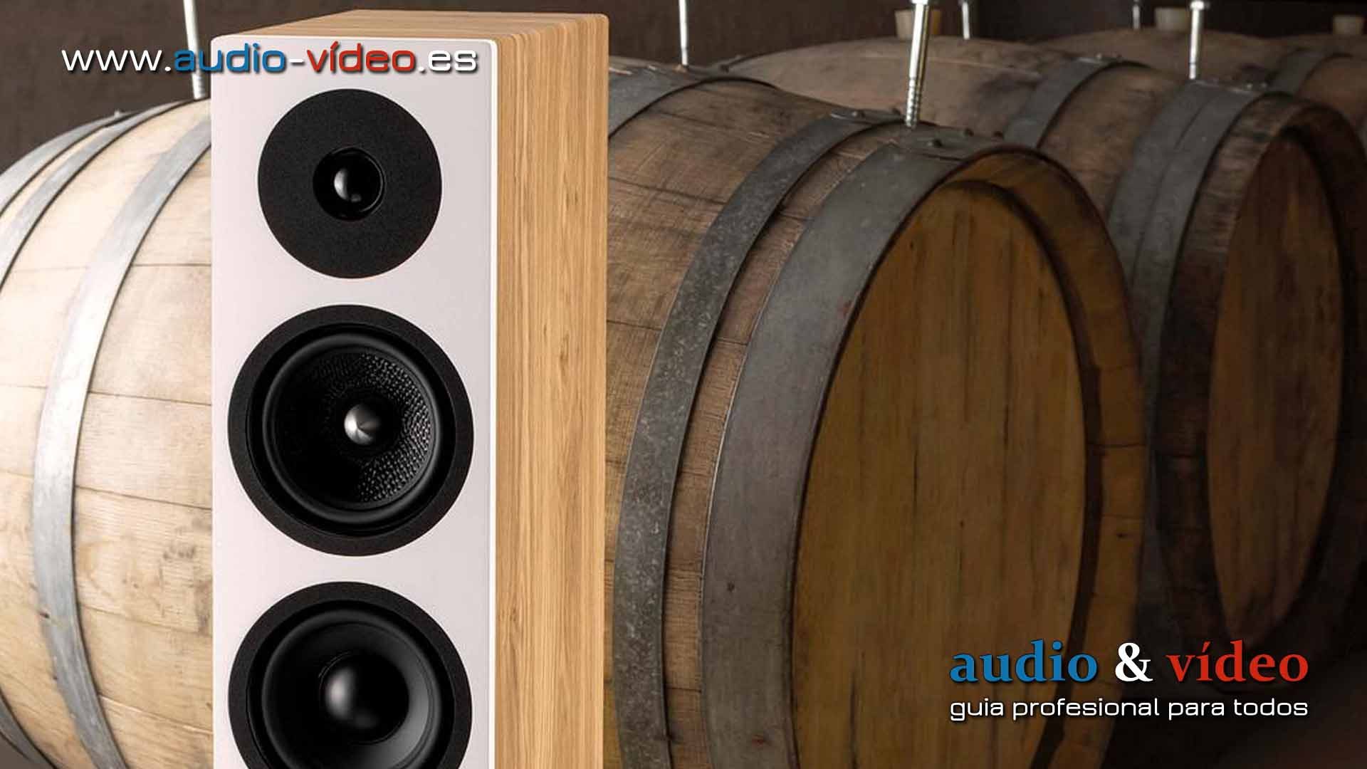 Davis Acoustics – Krypton 6 – altavoces de suelo