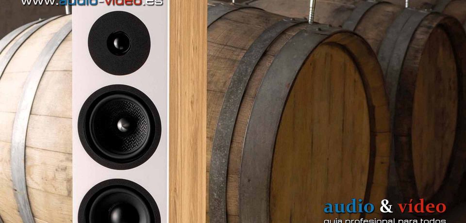 Davis Acoustics – Krypton 6 – altavoces de suelo