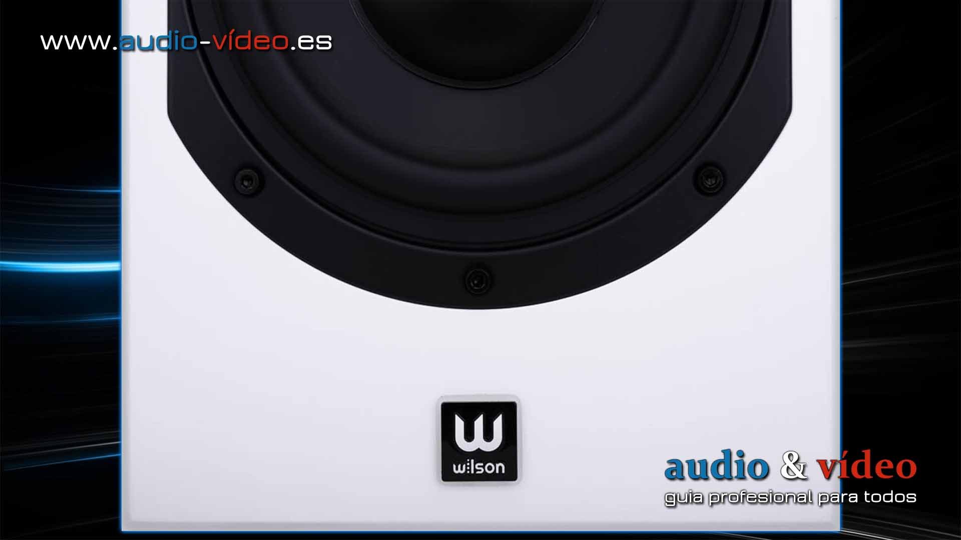 Wilson Six Power – altavoces de suelo con subwoofer activo