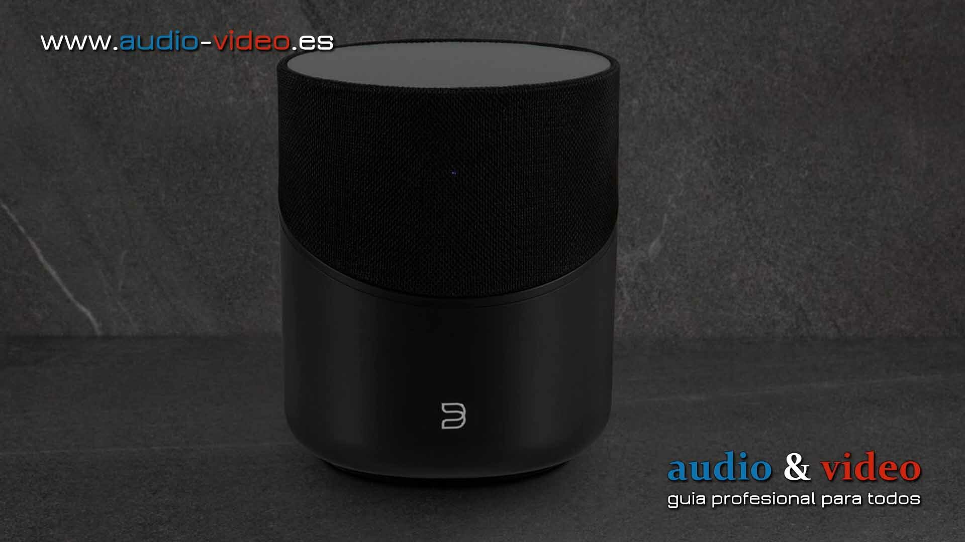 Bluesound – Omni-Hybrid™ PULSE M – altavoz inalámbrico